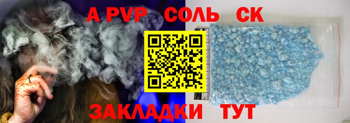 Альфа ПВП  A-PVP СК КРИС  Архангельск  Вход с VPN  APVP СК КРИС 