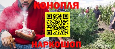 шишки Волгодонск