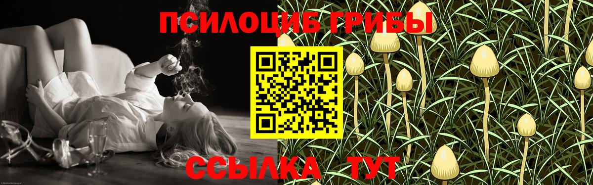 Архангельск  Псилоцибиновые грибы ЛСД  Вход с VPN 