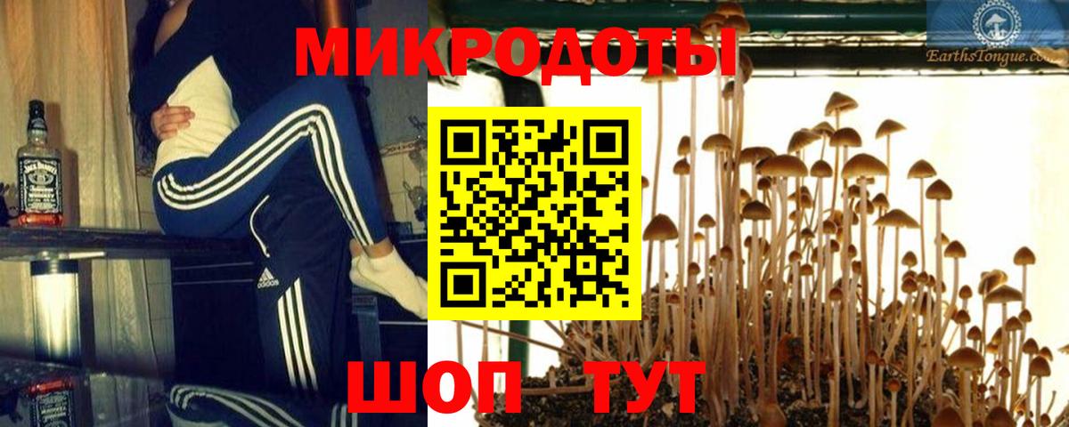 Галлюциногенные грибы мухоморы Архангельск